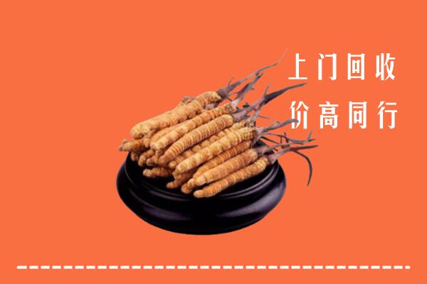 海陵区回收散虫草
