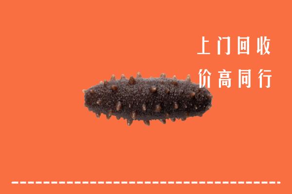 收购行情：海陵区回收海参