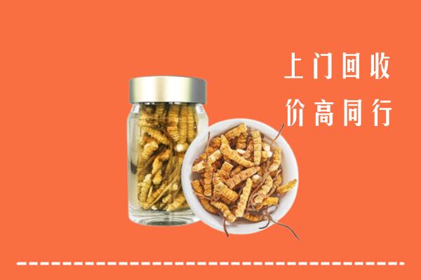 海陵区回收冬虫夏草